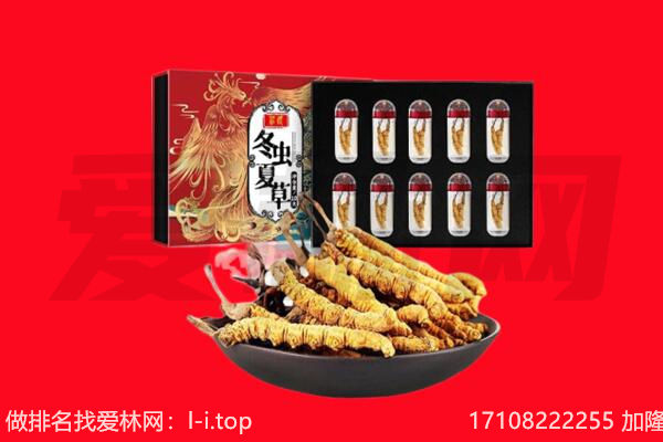 思茅回收虫草.jpg